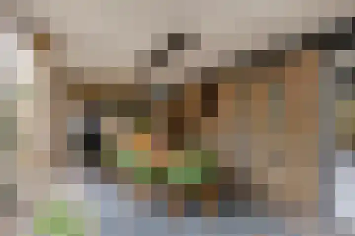 Tollenhof 27 Kesteren thumbnail 38