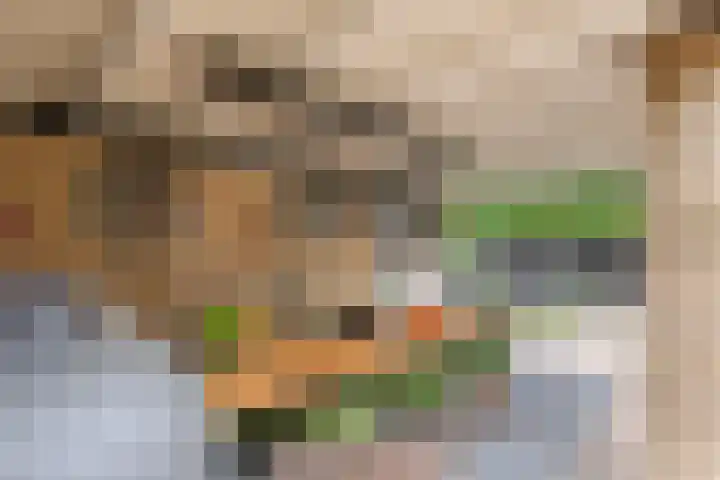 Tollenhof 27 Kesteren thumbnail 39