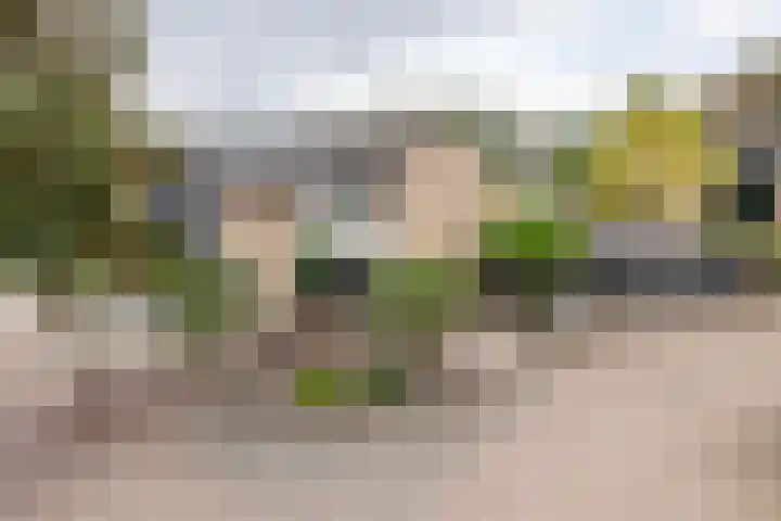 Tollenhof 27 Kesteren thumbnail 4