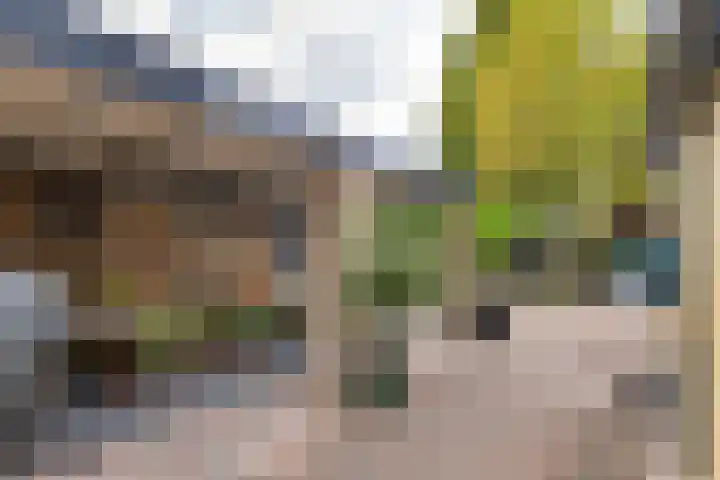 Tollenhof 27 Kesteren thumbnail 40