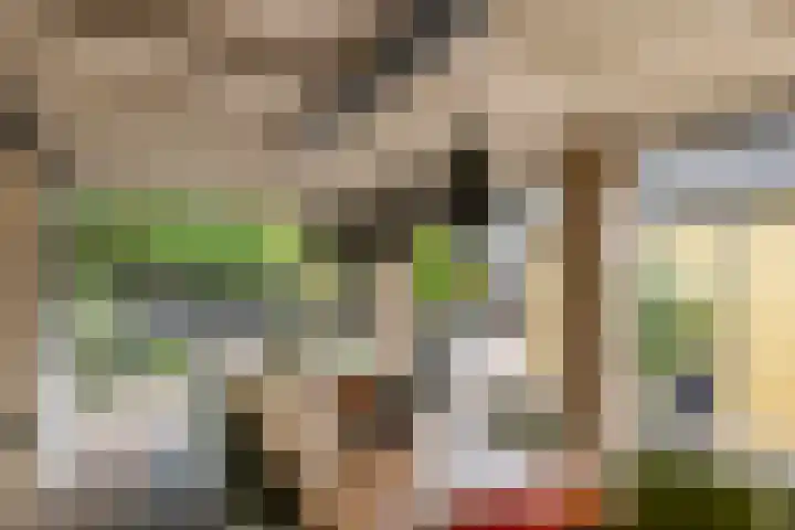 Tollenhof 27 Kesteren thumbnail 41