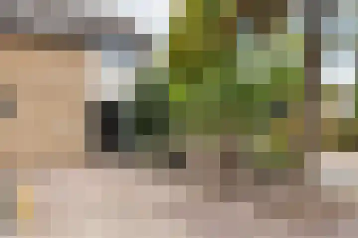 Tollenhof 27 Kesteren thumbnail 42