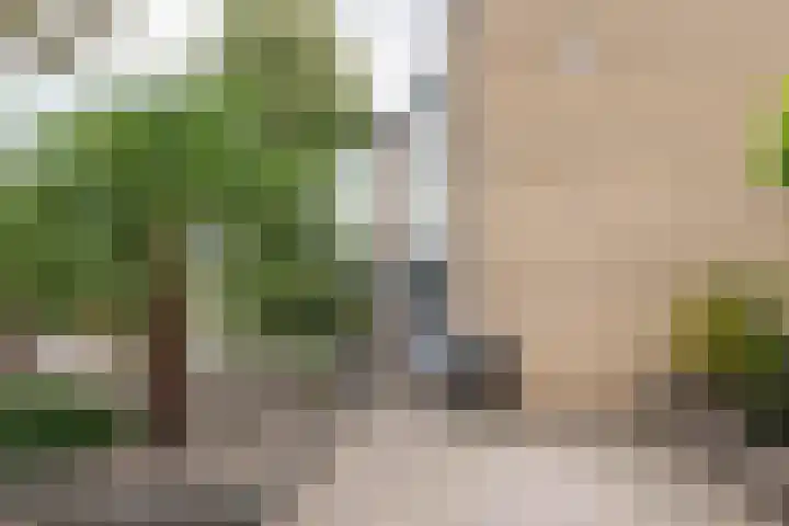Tollenhof 27 Kesteren thumbnail 43