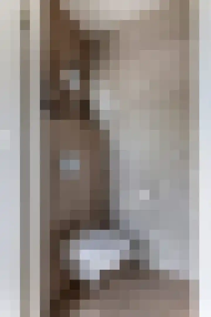 Tollenhof 27 Kesteren thumbnail 6