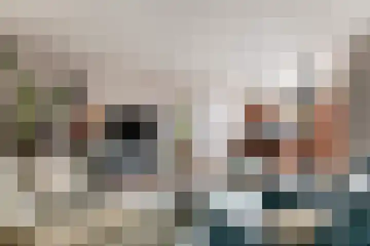 Tollenhof 27 Kesteren thumbnail 7
