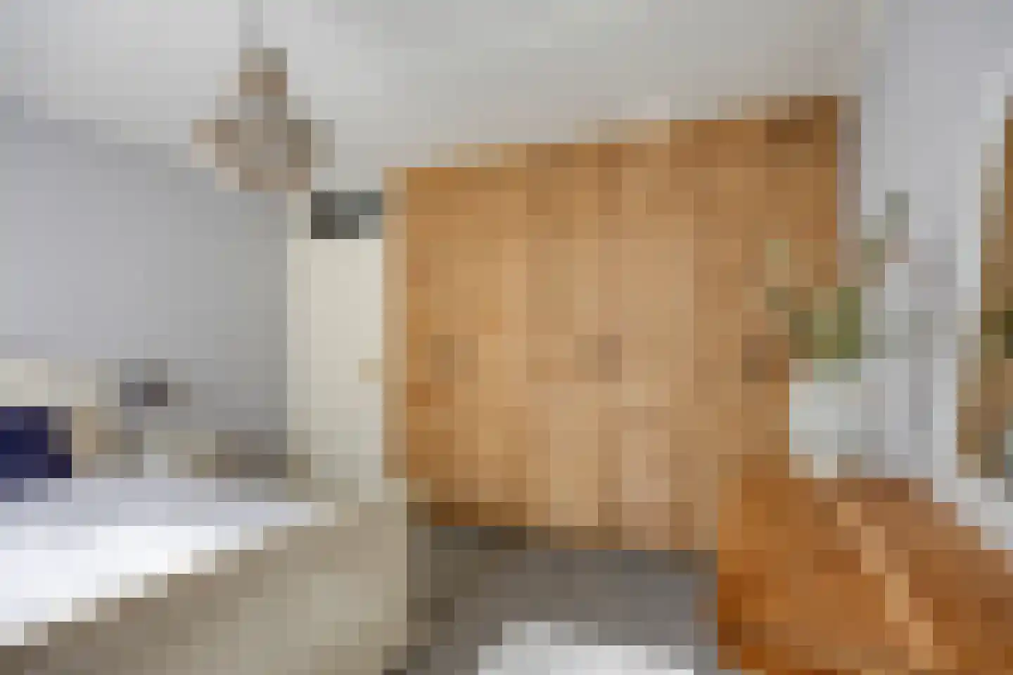 Tollenhof 28 Kesteren thumbnail 18