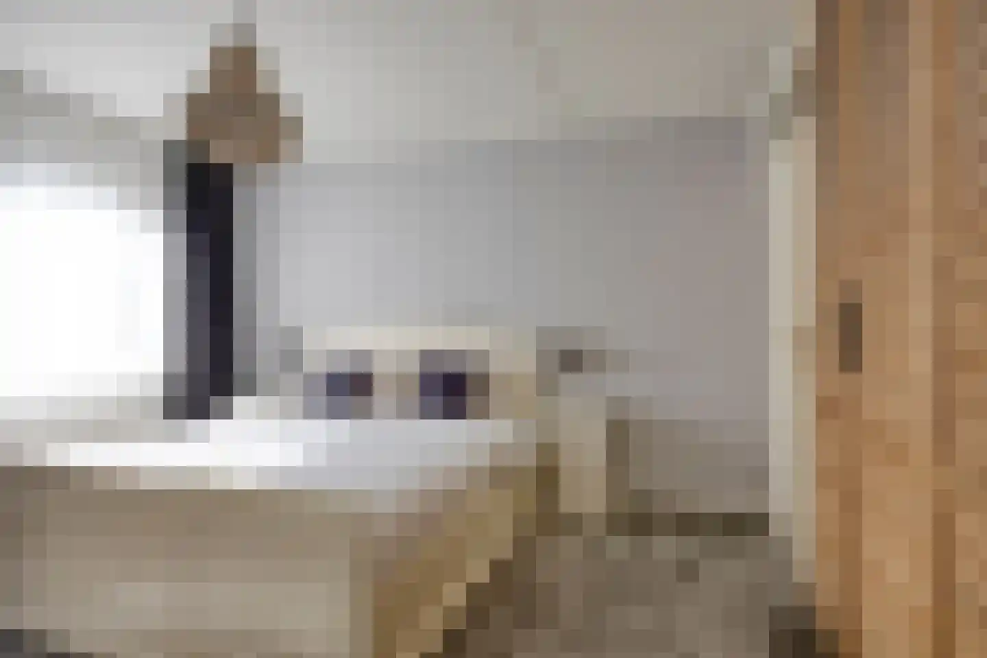 Tollenhof 28 Kesteren thumbnail 19