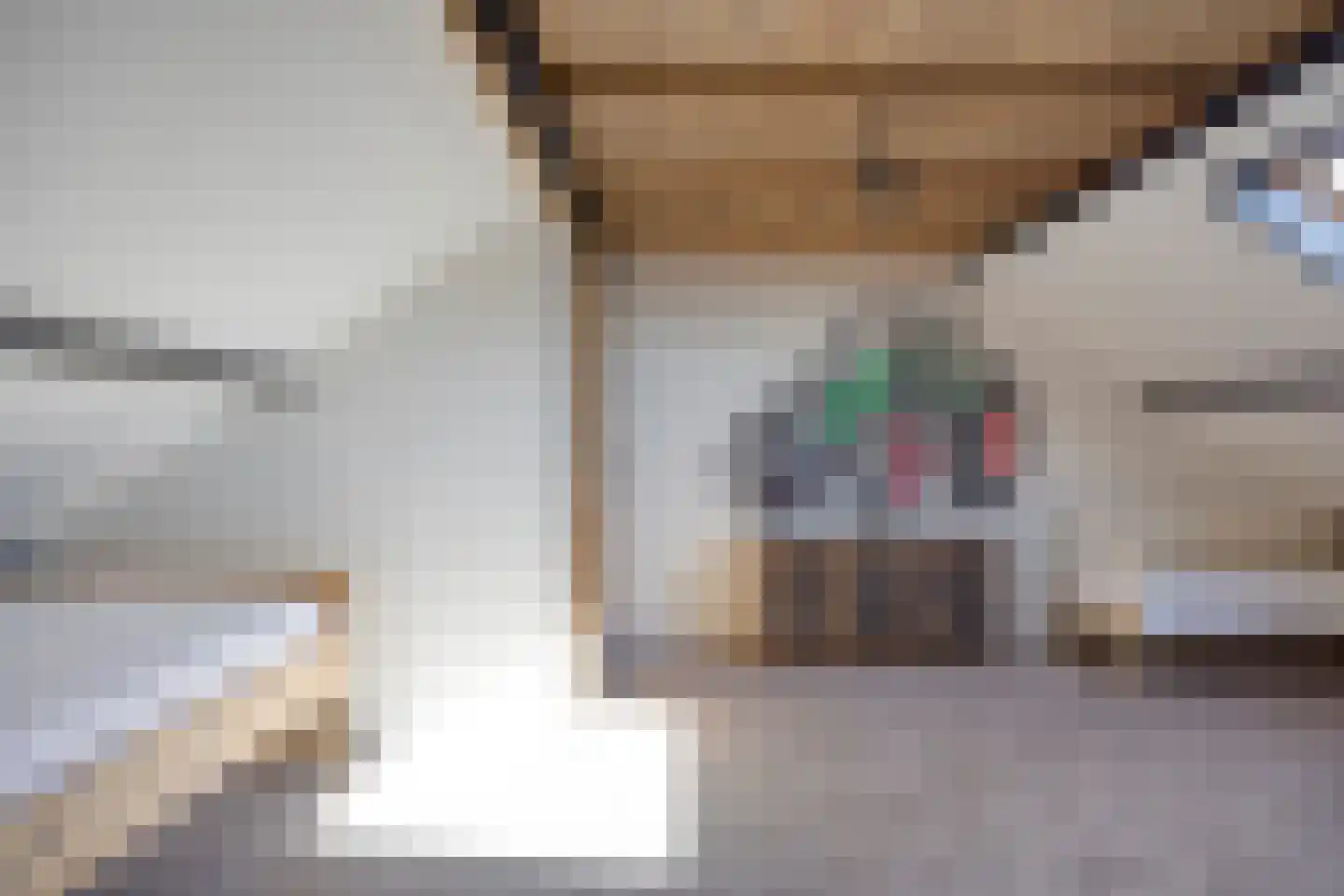 Tollenhof 28 Kesteren thumbnail 27