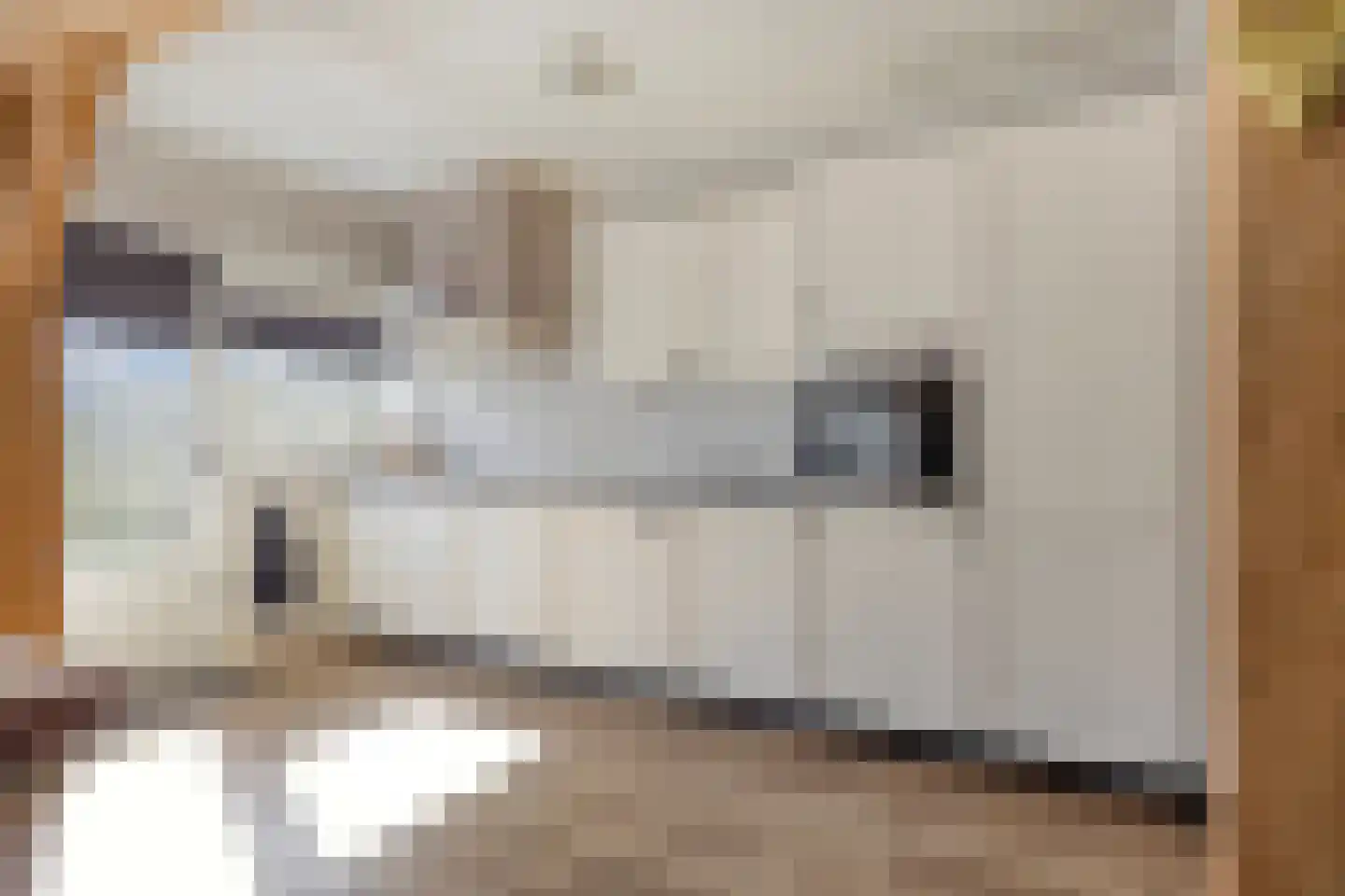 Tollenhof 28 Kesteren thumbnail 6