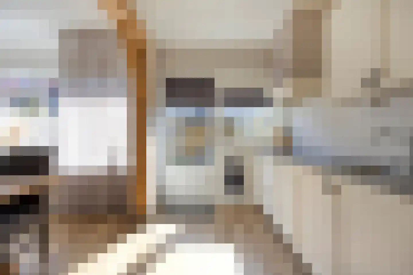 Tollenhof 28 Kesteren thumbnail 7