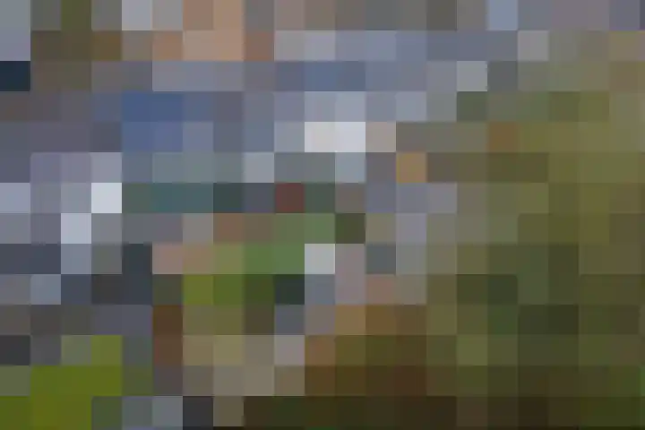 Tollenhof 39 Kesteren thumbnail 10
