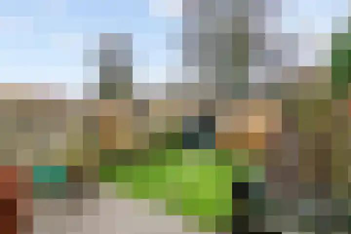Tollenhof 39 Kesteren thumbnail 12