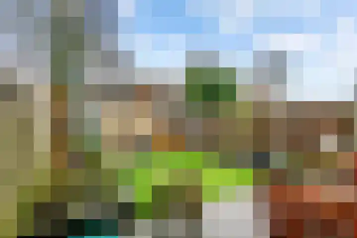 Tollenhof 39 Kesteren thumbnail 13