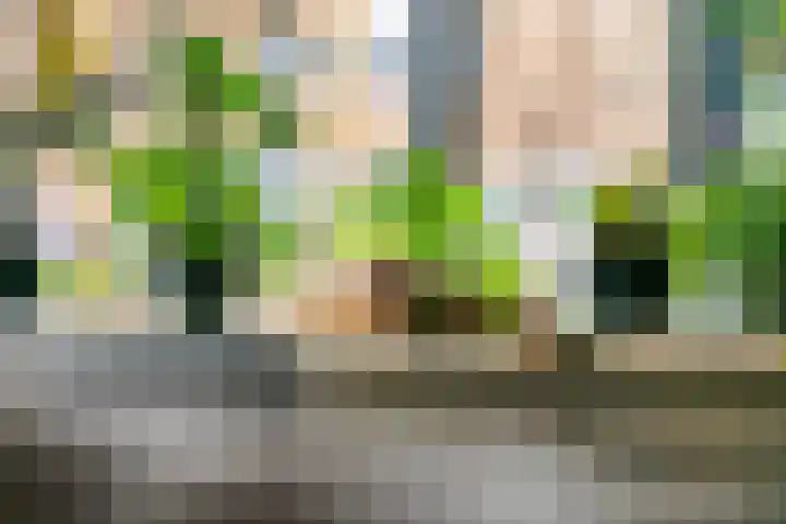 Tollenhof 39 Kesteren thumbnail 20