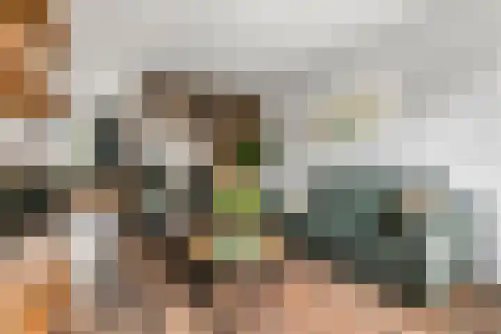 Tollenhof 39 Kesteren thumbnail 21