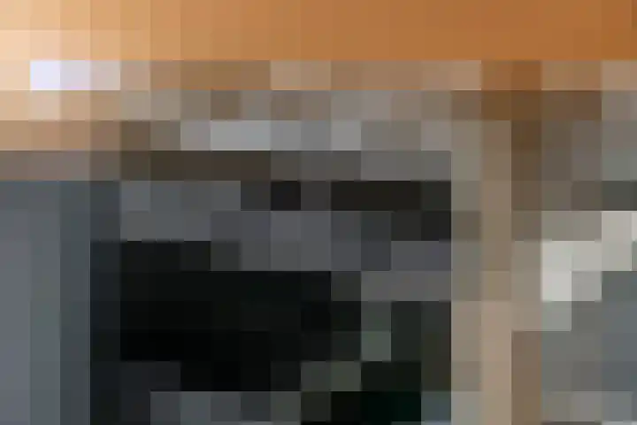 Tollenhof 39 Kesteren thumbnail 29