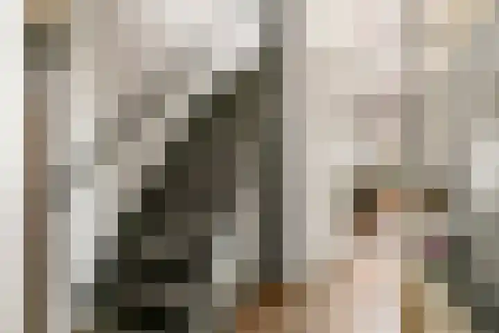 Tollenhof 39 Kesteren thumbnail 32