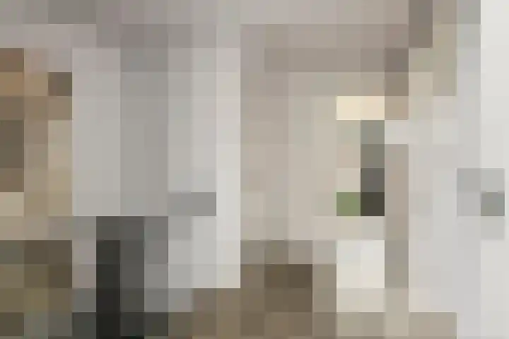 Tollenhof 39 Kesteren thumbnail 33