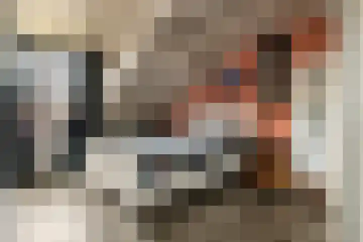 Tollenhof 39 Kesteren thumbnail 38