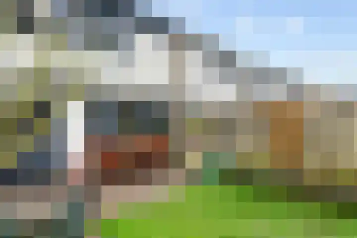Tollenhof 39 Kesteren thumbnail 4