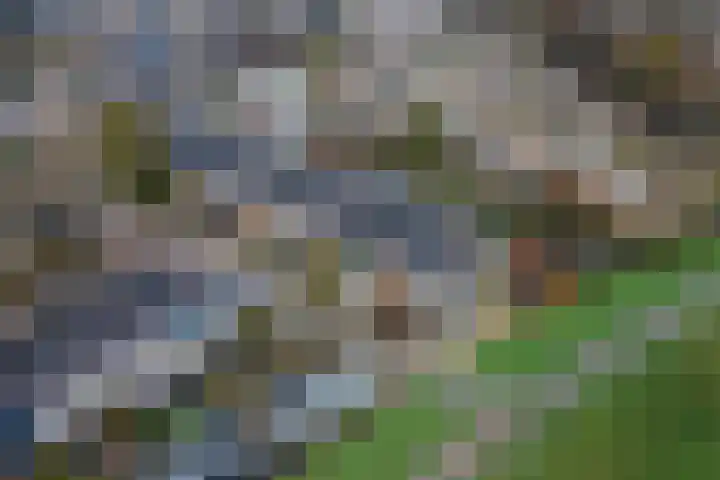 Tollenhof 39 Kesteren thumbnail 46