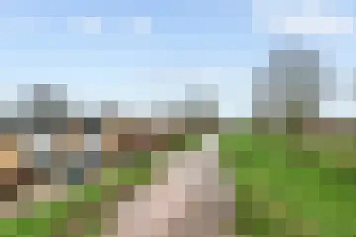 Tollenhof 39 Kesteren thumbnail 6