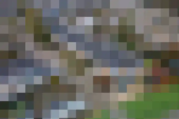 Tollenhof 39 Kesteren thumbnail 7