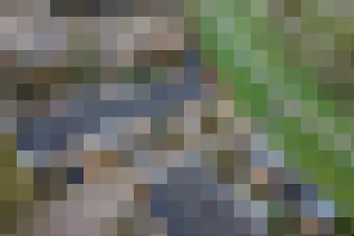 Tollenhof 39 Kesteren thumbnail 8