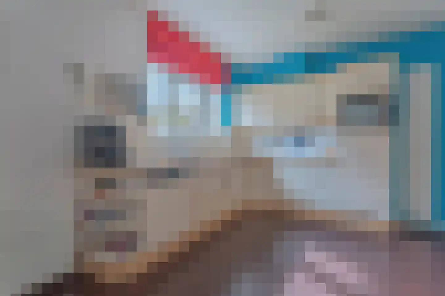 Tollenhof 4 Kesteren thumbnail 10
