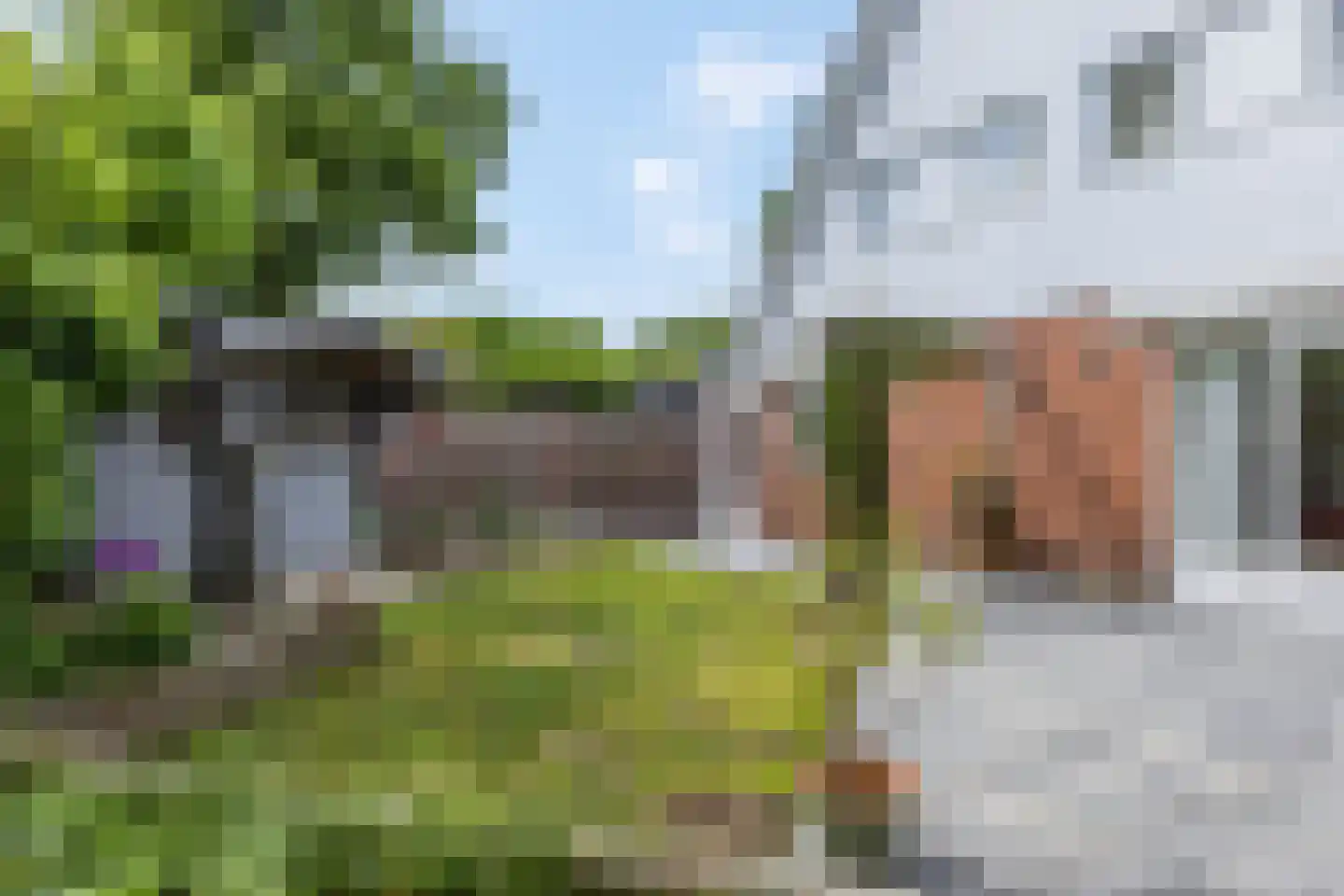 Tollenhof 4 Kesteren thumbnail 27