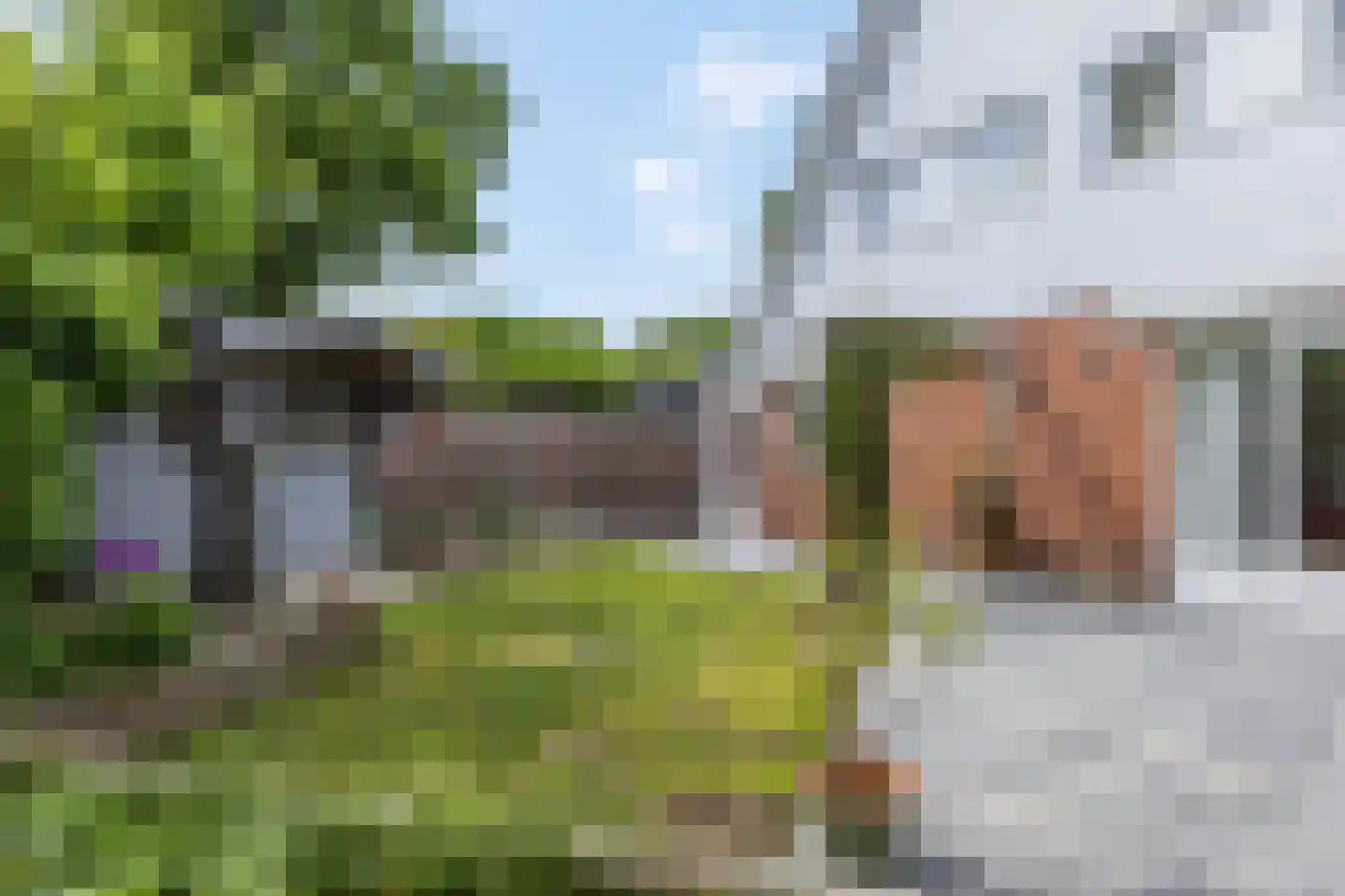 Tollenhof 4 Kesteren thumbnail 27