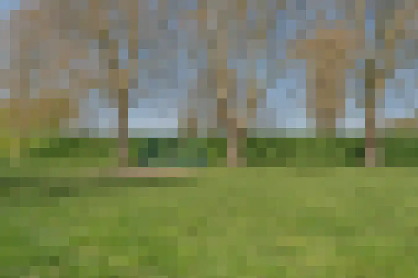 Tollenhof 4 Kesteren thumbnail 38