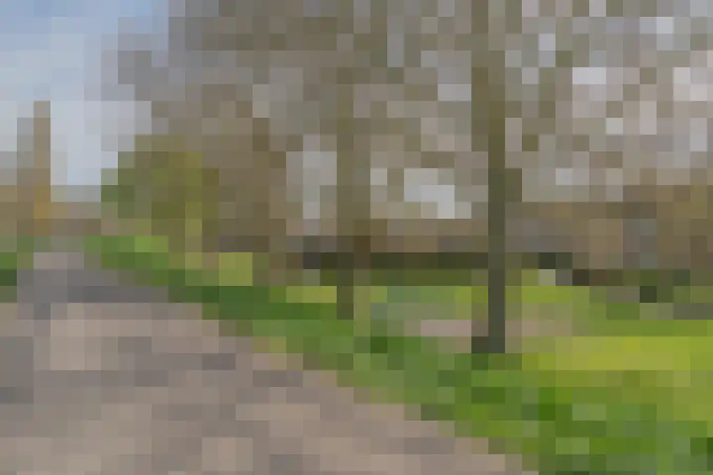 Tollenhof 4 Kesteren thumbnail 4
