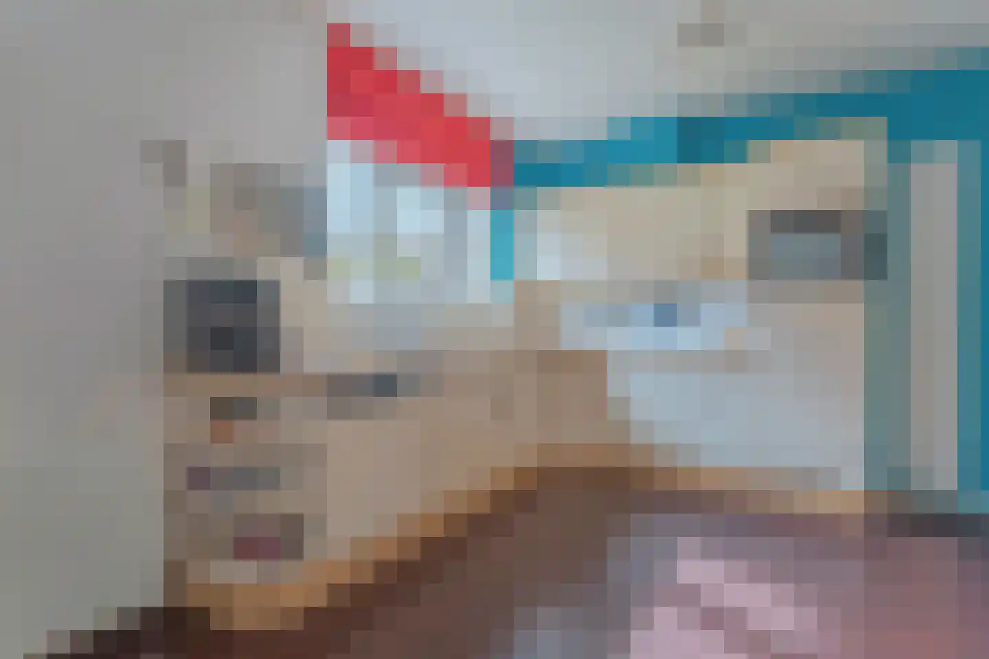 Tollenhof 4 Kesteren thumbnail 4