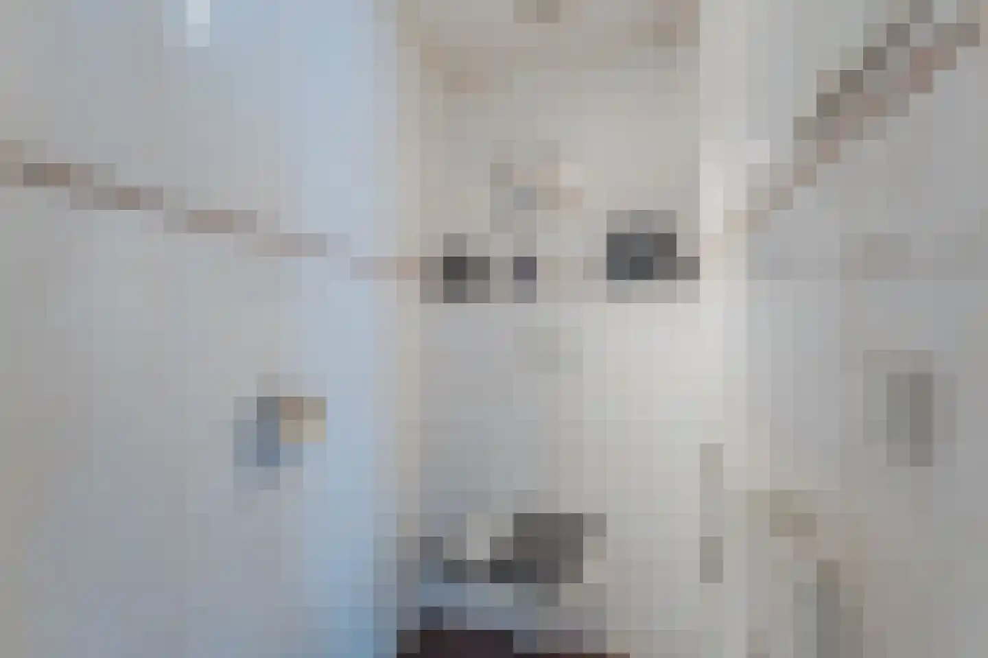 Tollenhof 4 Kesteren thumbnail 6