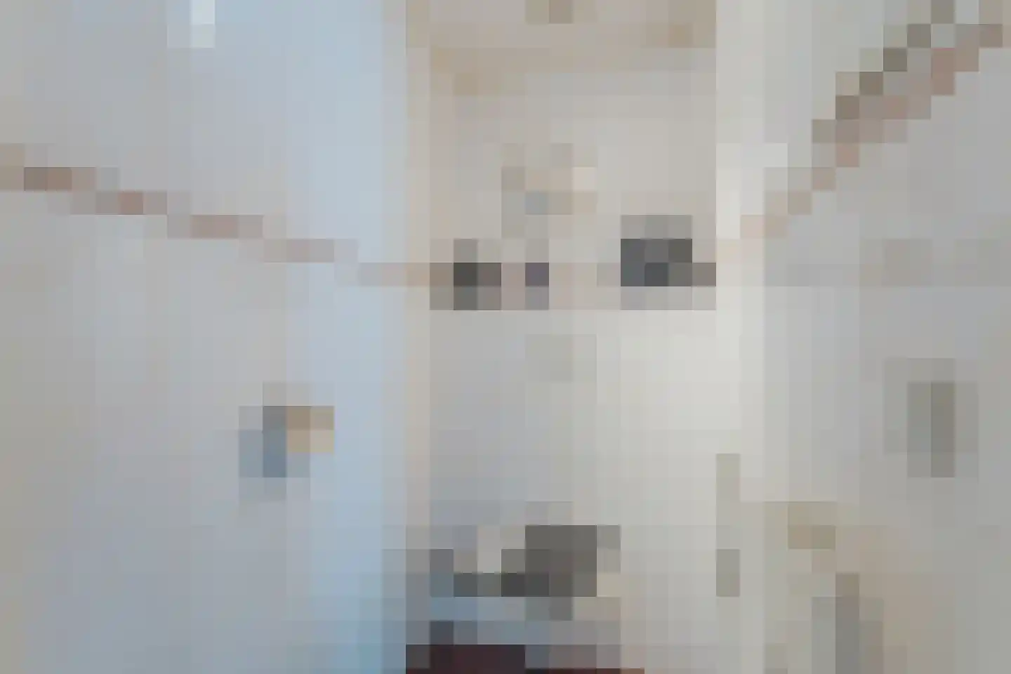 Tollenhof 4 Kesteren thumbnail 8