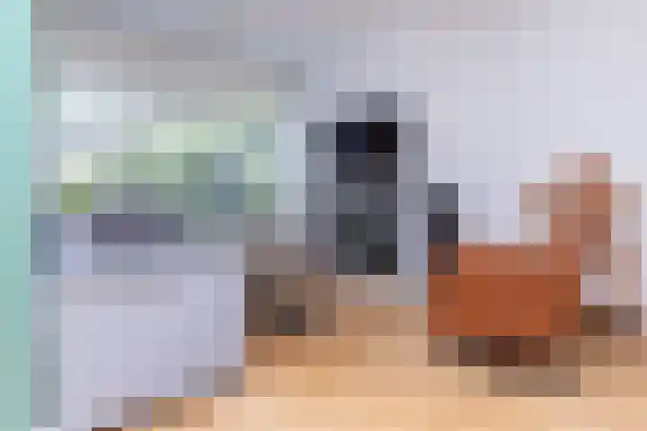 Tollenhof 41 Kesteren thumbnail 12