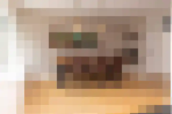 Tollenhof 41 Kesteren thumbnail 19