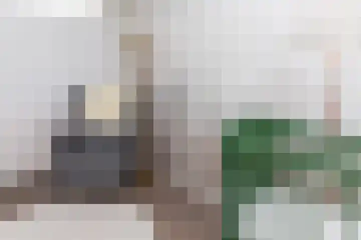 Tollenhof 41 Kesteren thumbnail 26