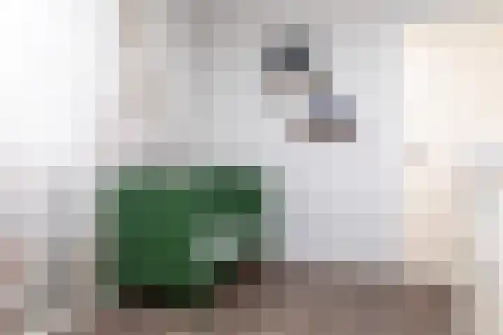 Tollenhof 41 Kesteren thumbnail 27