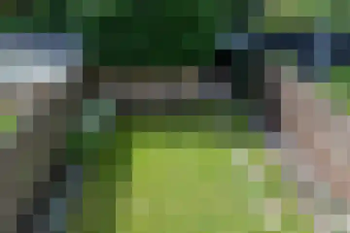 Tollenhof 41 Kesteren thumbnail 30