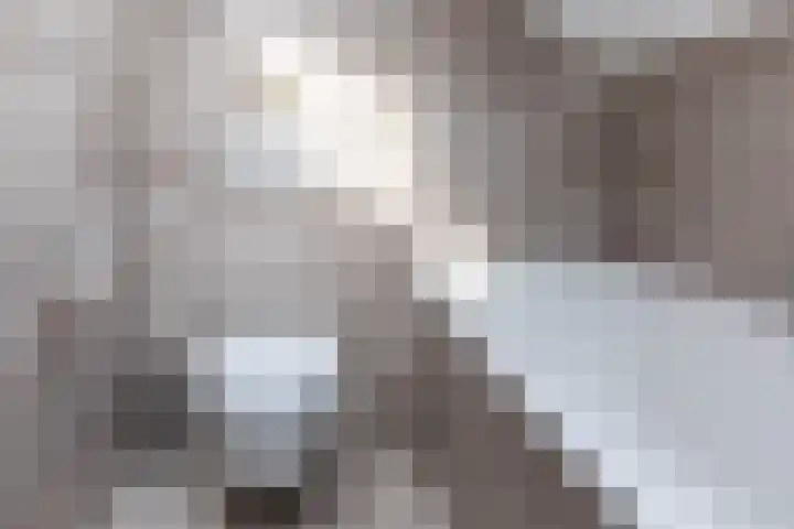 Tollenhof 41 Kesteren thumbnail 33