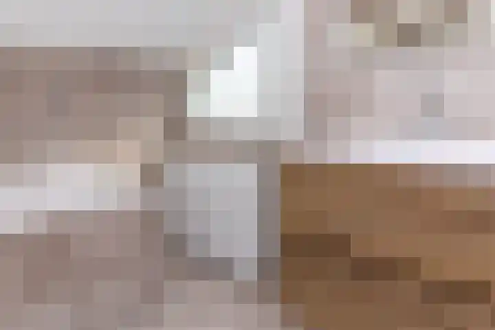 Tollenhof 41 Kesteren thumbnail 35