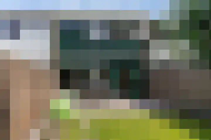 Tollenhof 41 Kesteren thumbnail 38
