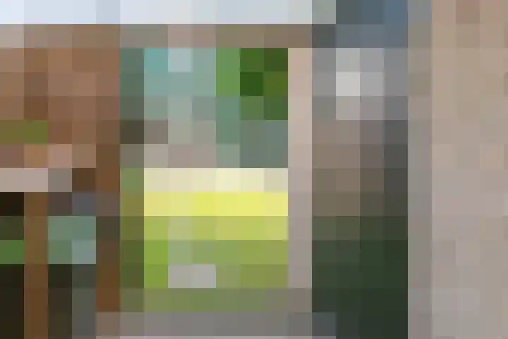 Tollenhof 41 Kesteren thumbnail 40