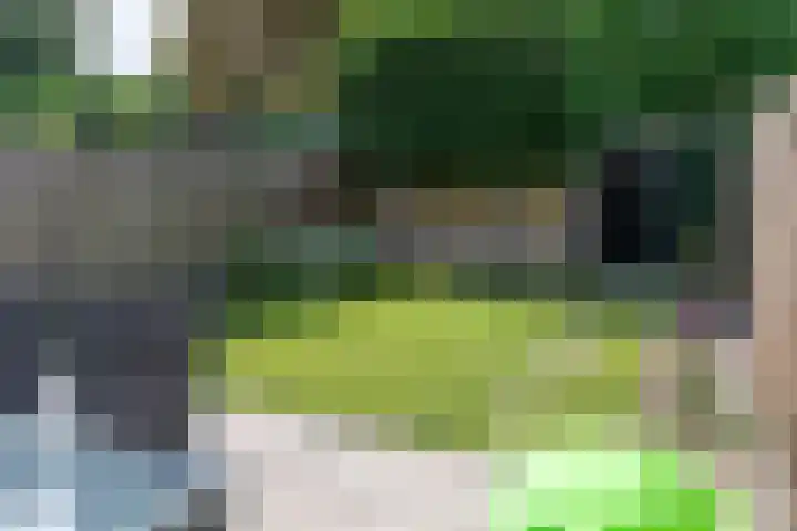 Tollenhof 41 Kesteren thumbnail 41
