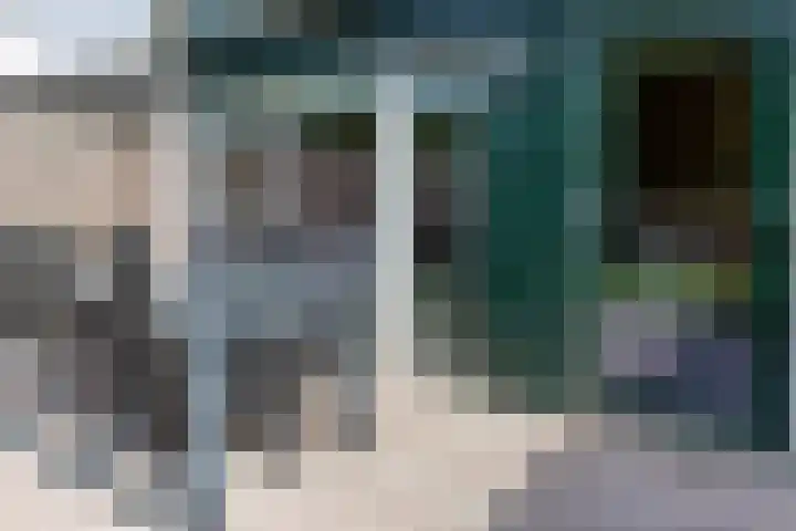 Tollenhof 41 Kesteren thumbnail 42