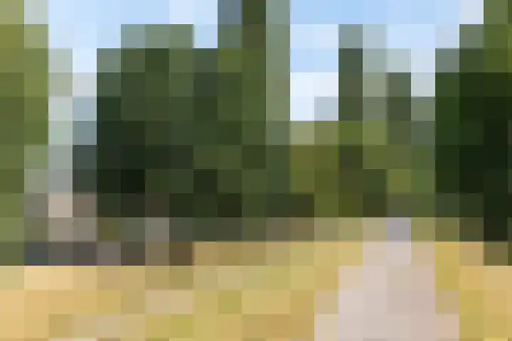 Tollenhof 41 Kesteren thumbnail 46