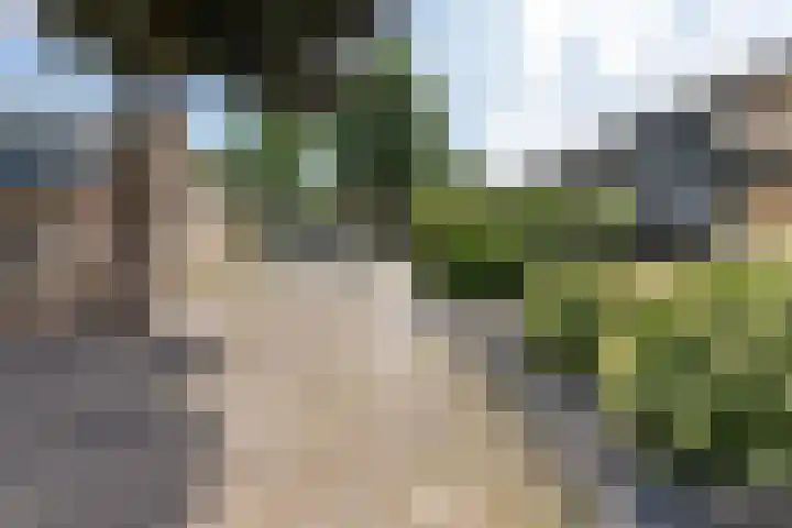 Tollenhof 41 Kesteren thumbnail 47