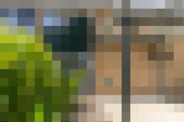 Tollenhof 41 Kesteren thumbnail 48